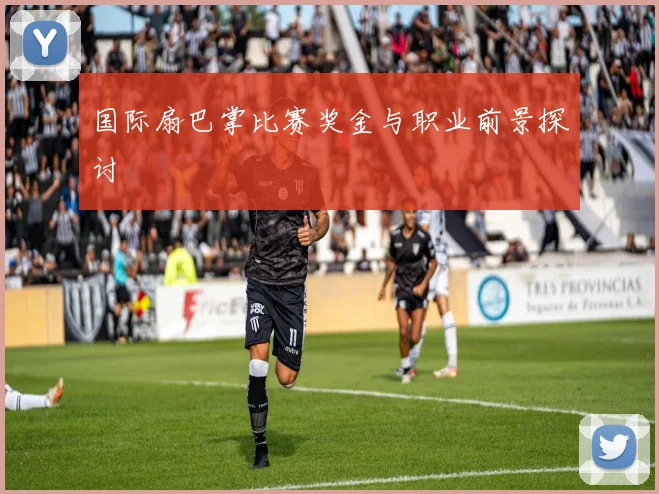 国际扇巴掌比赛奖金与职业前景探讨